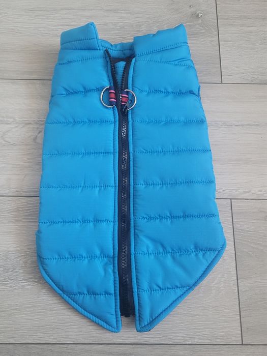 Hainuta caini talie mica-mijlocie