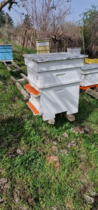 Пчелни кошери  10 р