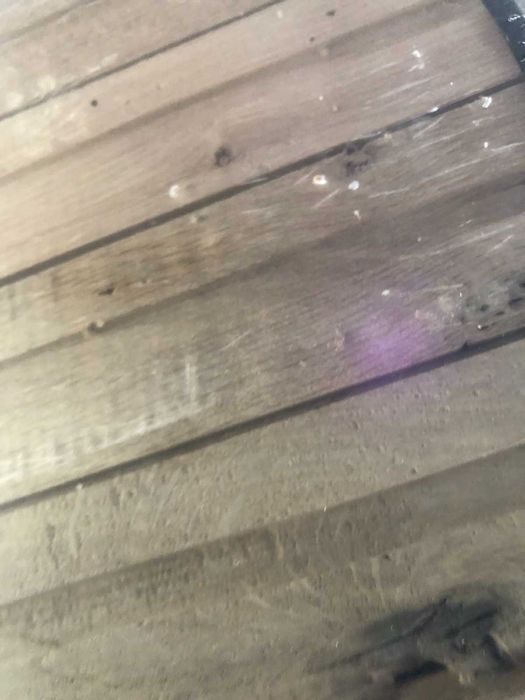 Паркет масив дъб