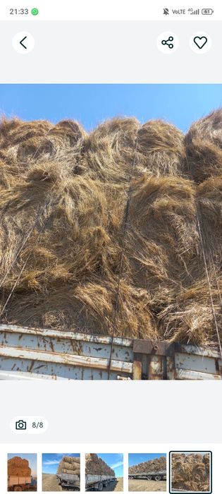 Рулон есть житняк и разнотравье