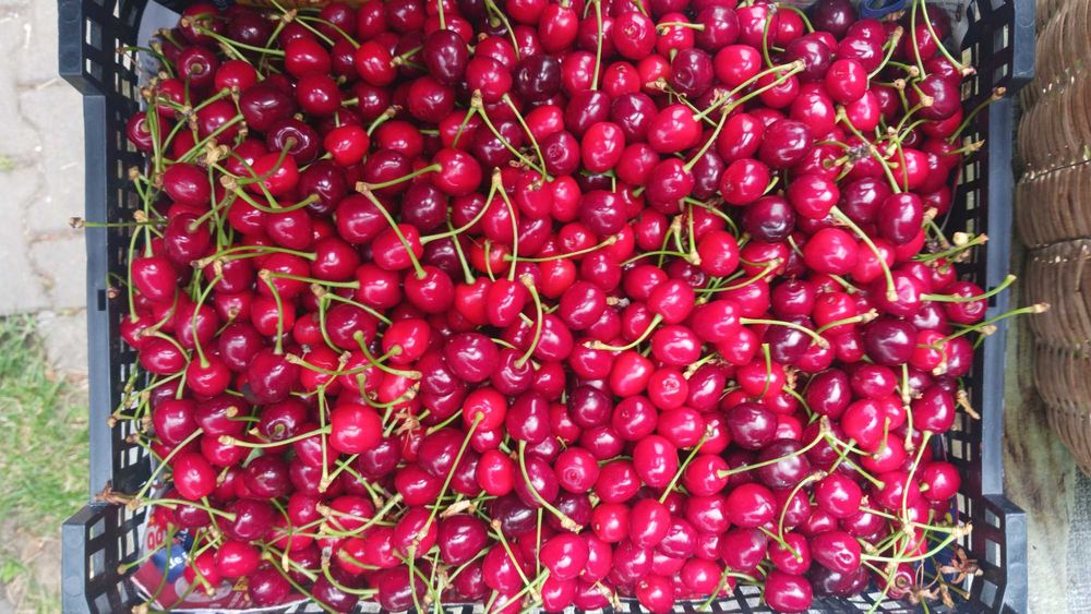 Cireșe, Cireșe, Cireșe 20RON / kg