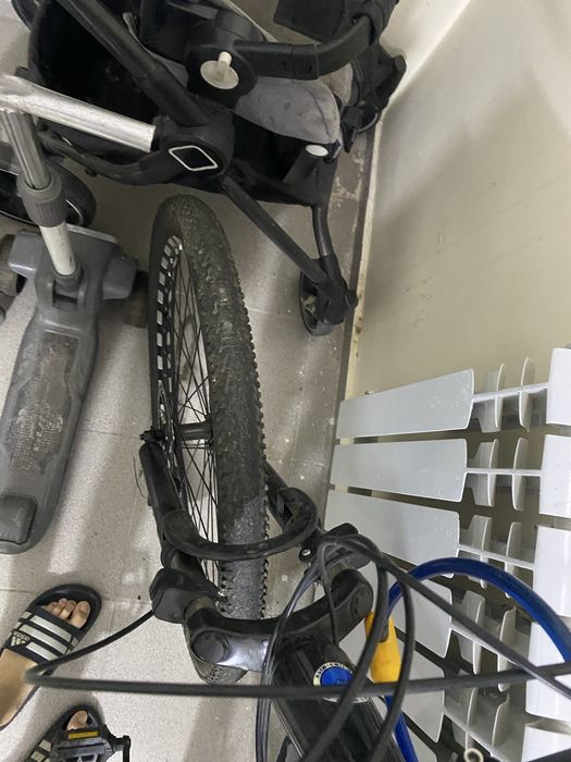 Велик хориший обмен есть