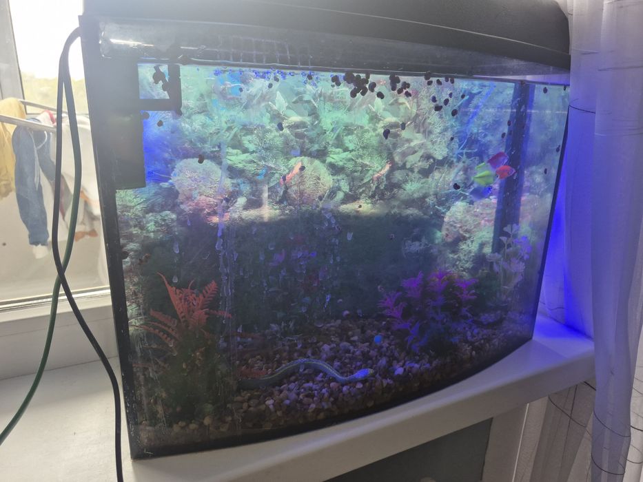 Продас аквариум с рыбками