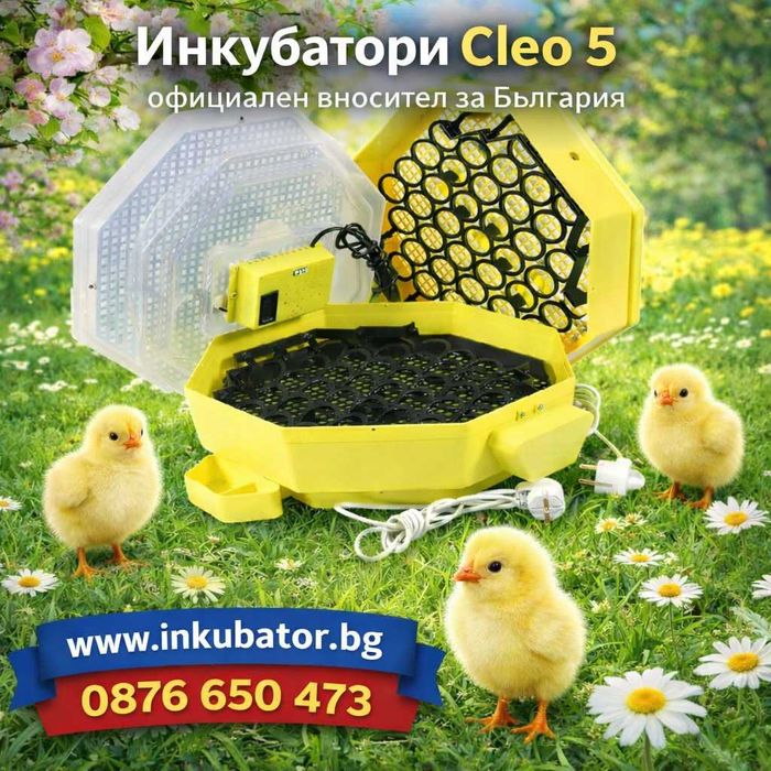 Автоматичен инкубатор за 82 яйца, Cleo 5x2 DTH, директен вносител