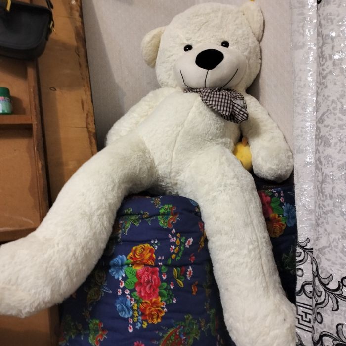 Медведь купили 30 тыс за двое