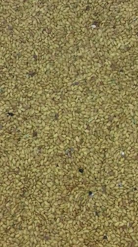 Семе за люцерна Приста 2025г