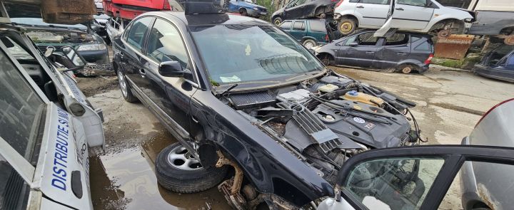 Piese Volkswagen VW Passat B5.5 (facelift)