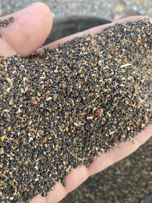 Пшеница.Платный чат! Все корма.