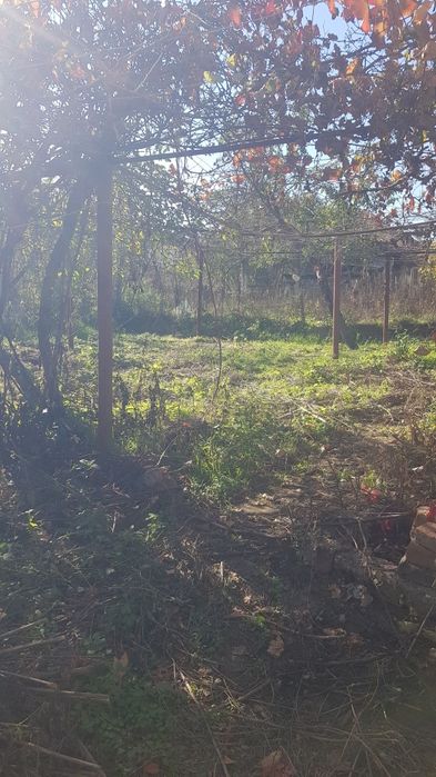 Продава се Къща в с. Катрище, Област Кюстендил - 80 кв.м за 255 €/кв.м - Снимка #6