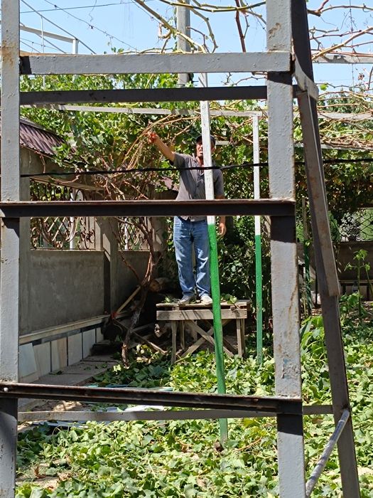 bog'bon sadovnik xizmati agranom 12-yillik