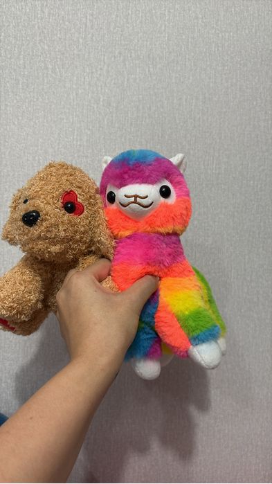 Продам все за 7000