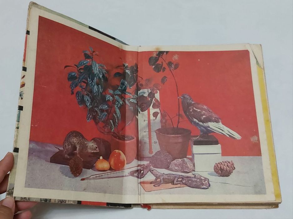 Книга времён СССР