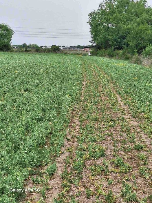 Продава се Парцел в Пловдив, Индустриална зона - Север - 7962 кв.м за 19 €/кв.м - Снимка #5