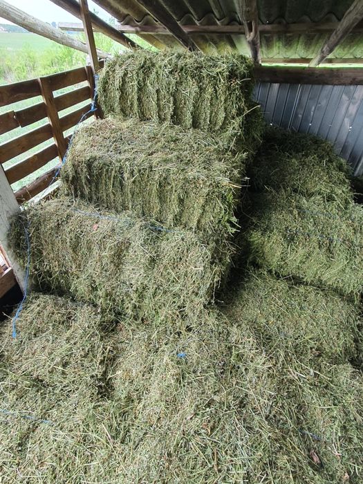 Baloti de Lucerna, Paie, Fan