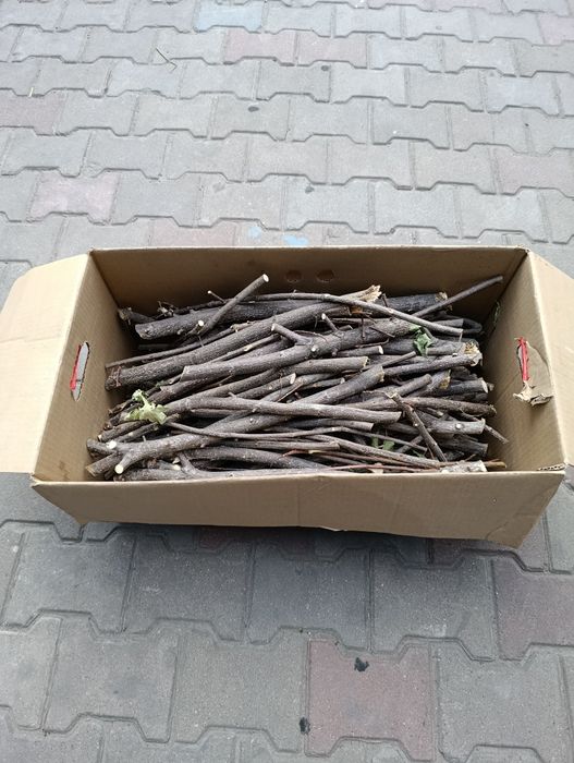 Продам сухие дрова дуба