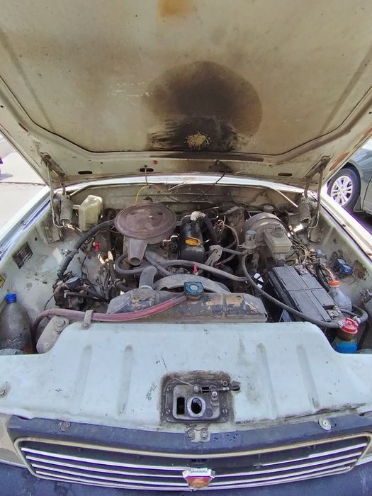 Ишлатаман Жиган одам бу́са жуда жони бакуват