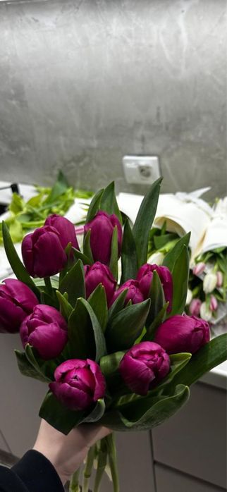 Тюльпаны ПРЕМИУМ СОРТ! Гиганты!