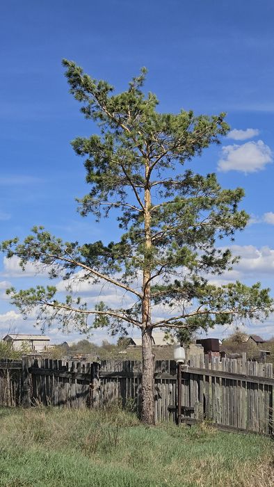 Продаю дачу ДО Золотая осень