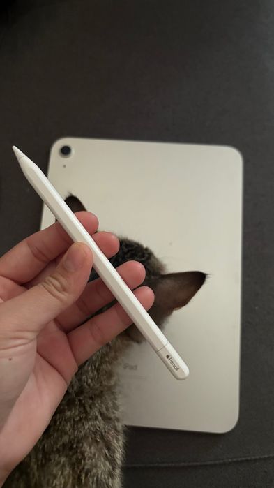 Ipad 10 го поколения