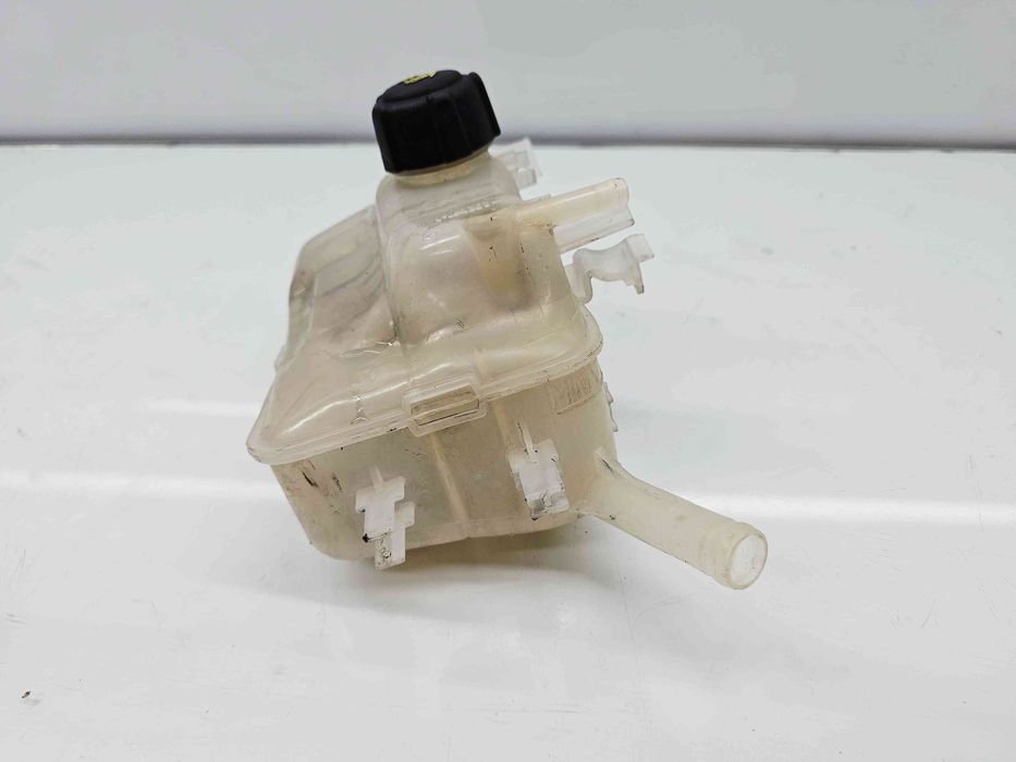 Vas expansiune Renault Megane 3 (B95) [Fabr 2008-2016] 217100005R