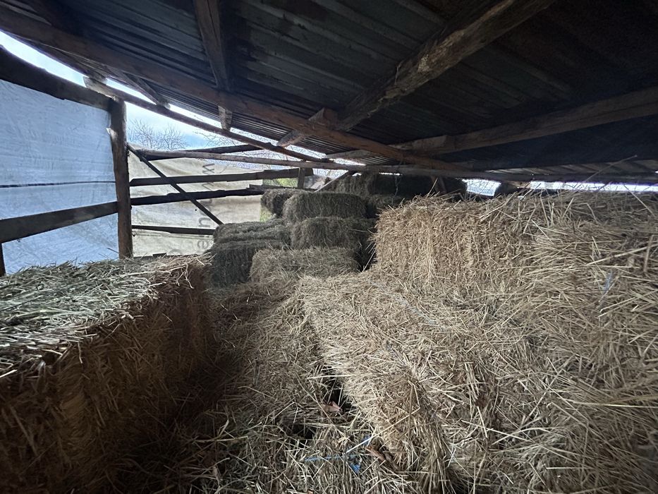 Vând baloți de fân