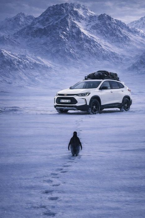 Такси в горы из Ташкента — TTravel Taxi
Чимган • Амирсой • Бельдер