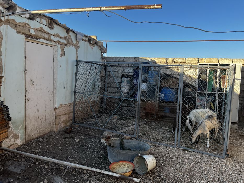 Решотка или ограждения для кур