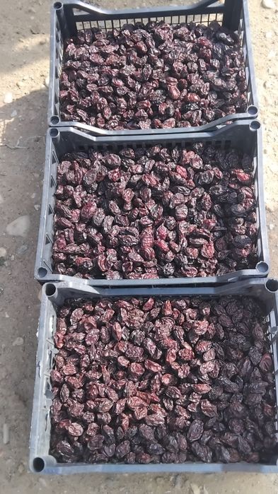 Vând prune uscare agen