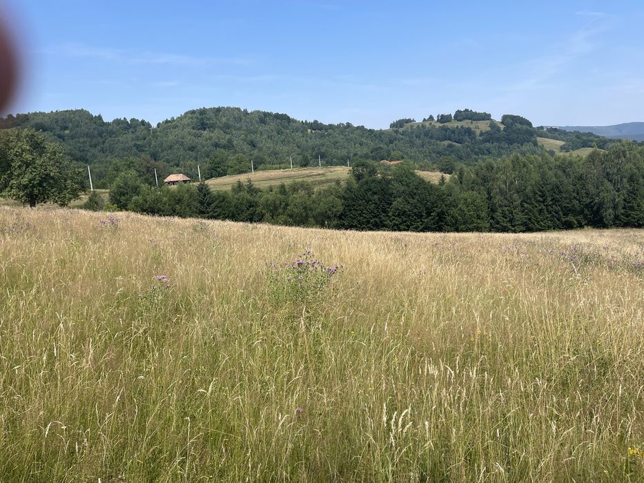 Teren extravil-intravila  2 parcele  la Vladeasa jud. Cluj,sat Visagu.