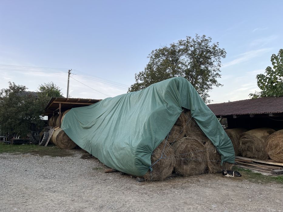 Baloți rotunzi fân pe plasă