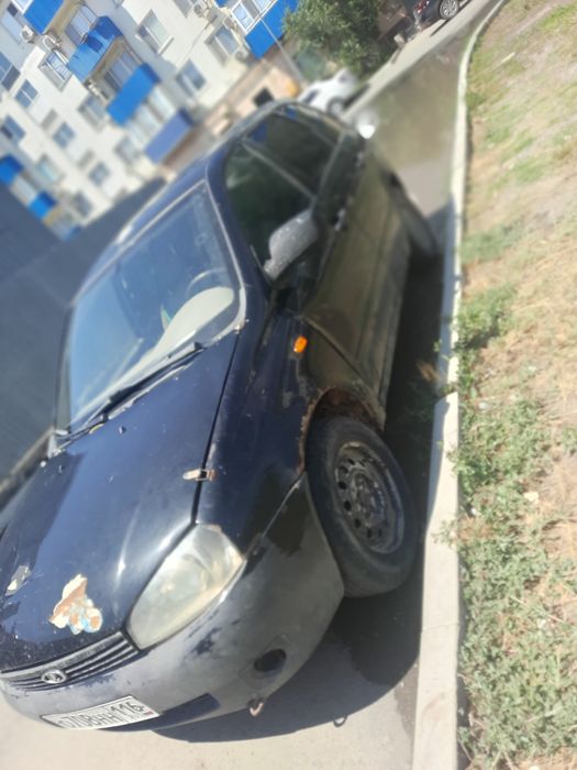 Калина 2011 жылгы