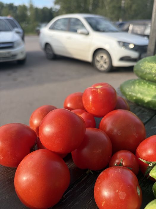 Продаю помидоры с дачи