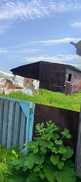 Продам дом на земле
