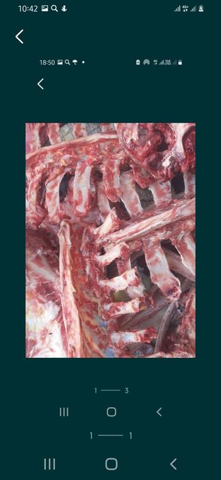 Продам кости для собак