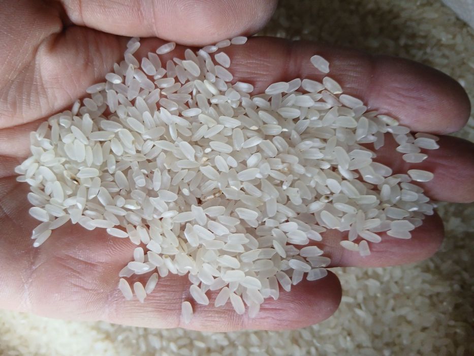 Хоразм гуручлари накд ва перечисления йули билан гуруч guruch guruch