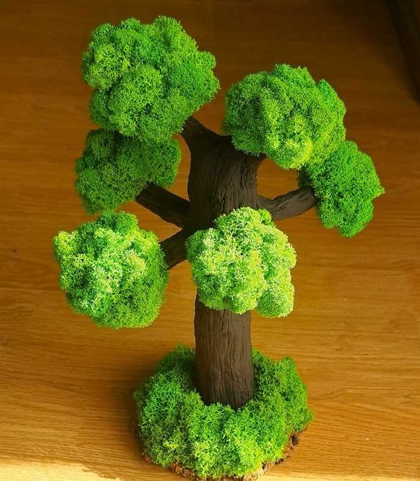 Decorațiuni cu licheni