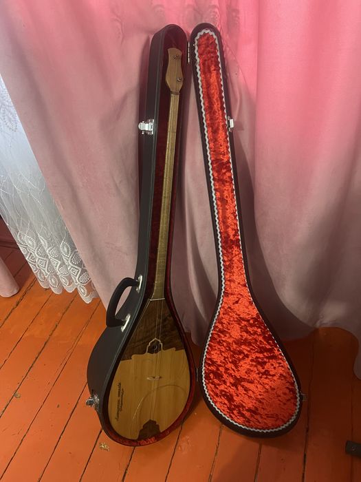 Ақынның домбырасы