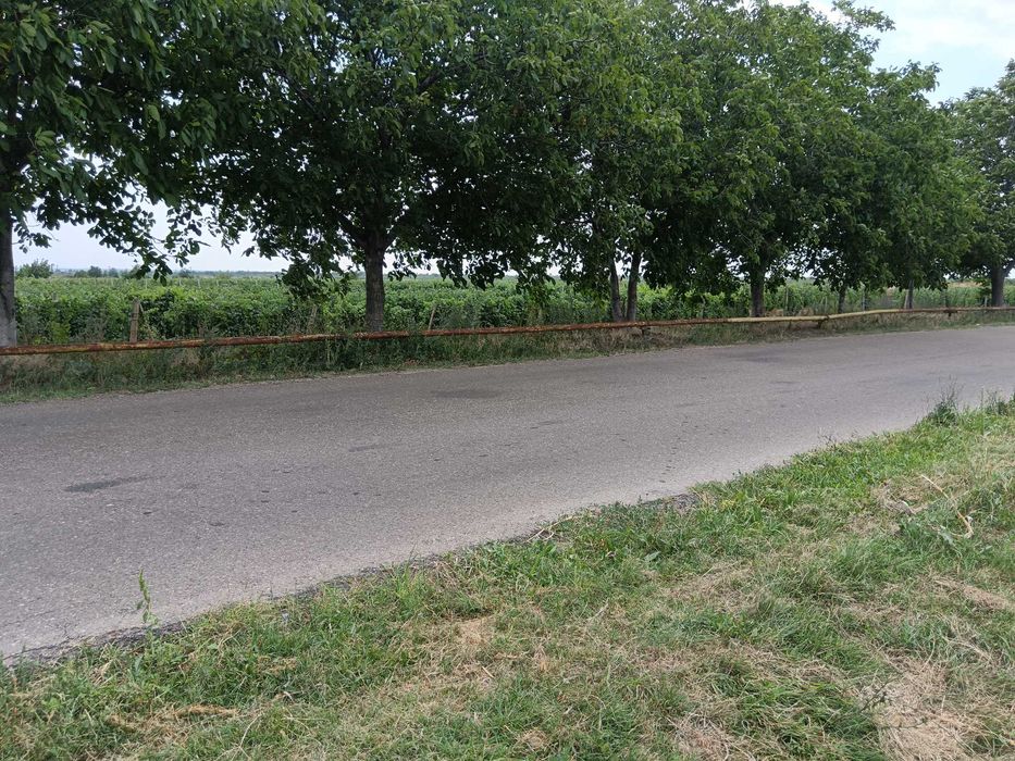 Teren intravilan și extravilan