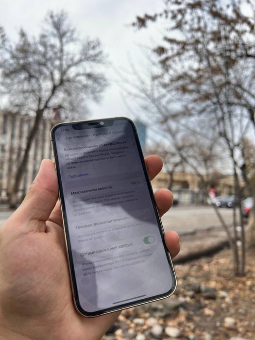 Iphone 12 pro 256 tali ideal