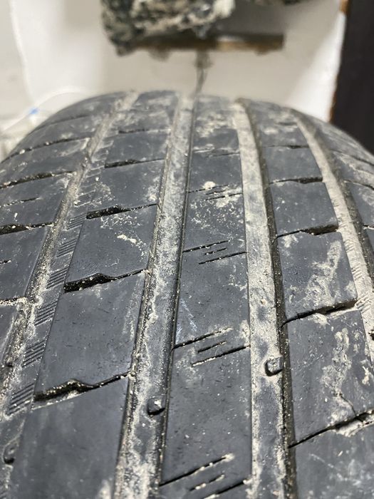 Продам ризина р16