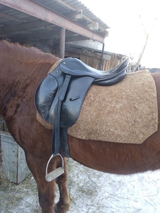 Седло спортивное