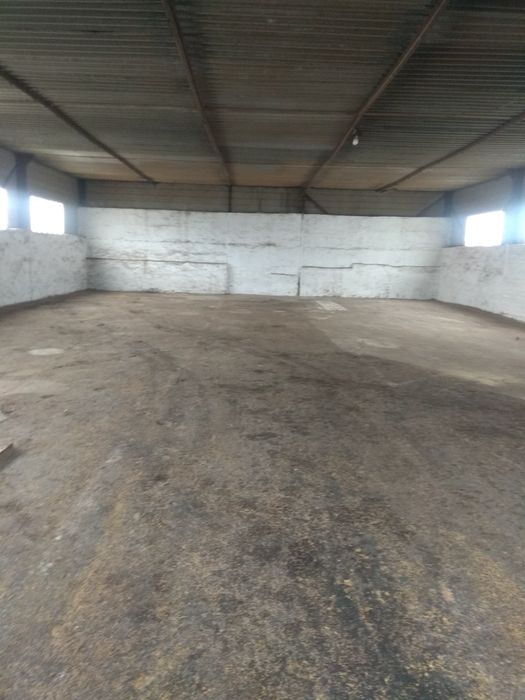 Сдам в аренду зерносклоад электричество 380 квт