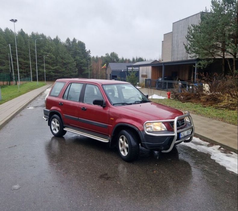 Новый привоз авкаров