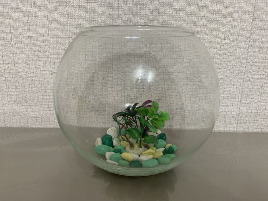 Аквариум для рыбок 10 литровый