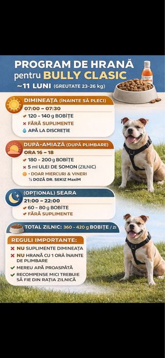 Realizez Logo-uri, Bannere, Postere, Flyere și Invitații | Design Profesional