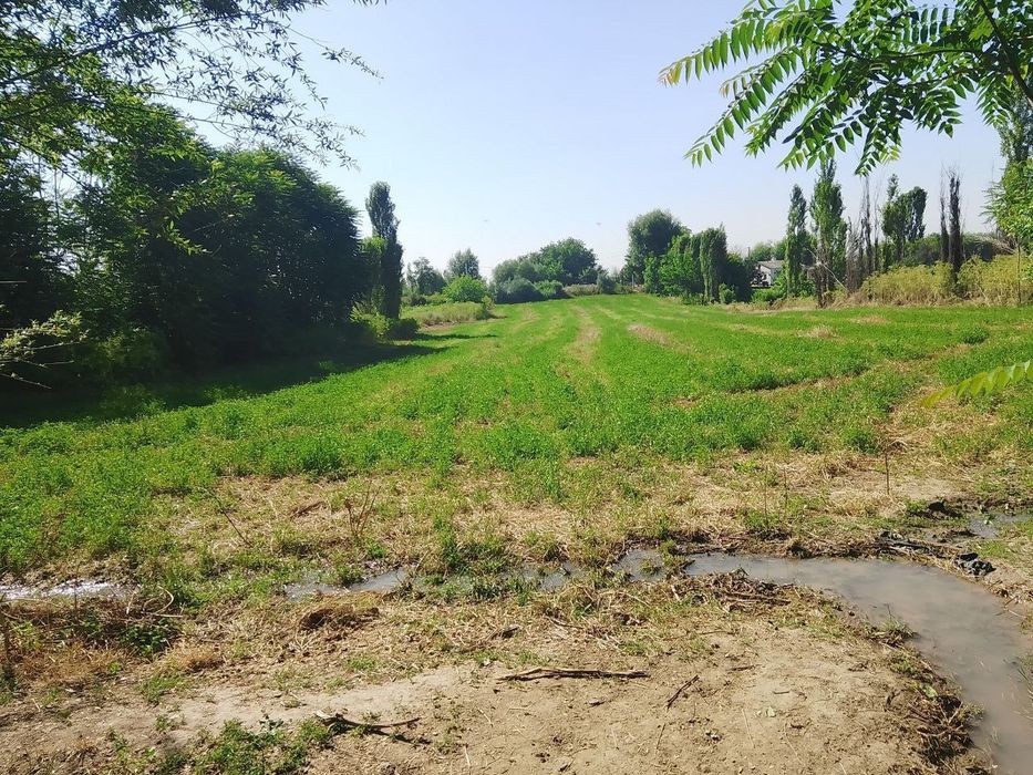 БУКА МФЙ Qolğonsir kochasi 84 uy