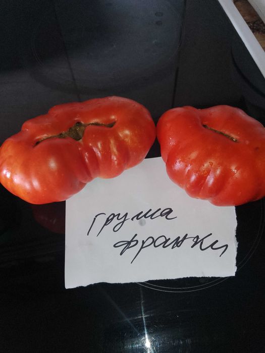 Семена за домати и други зеленчуци