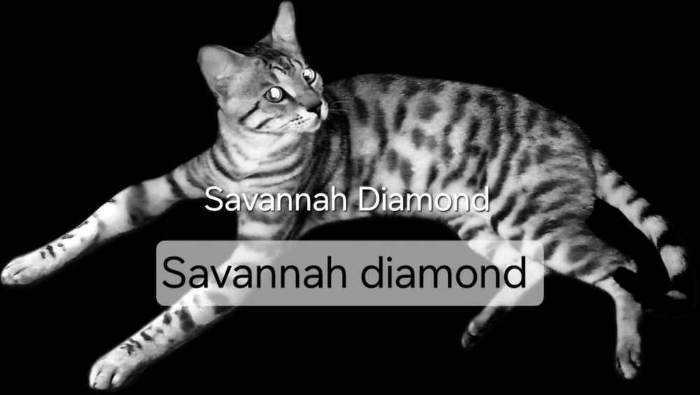 Саванна ф6 подростки