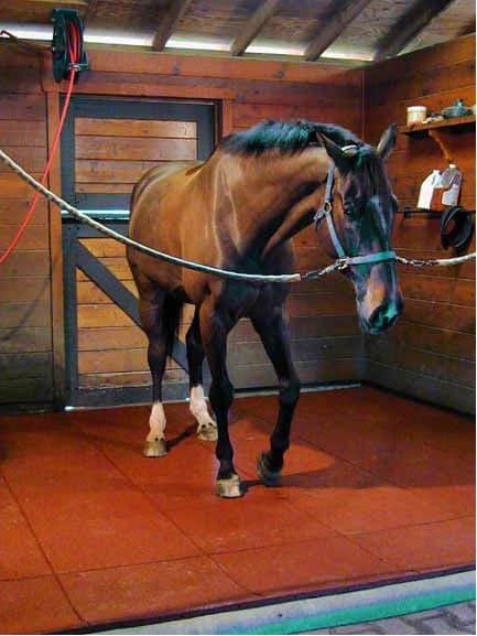 Резиновые плиты от компании Amadina