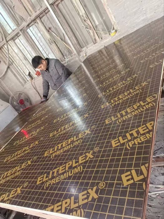 Ламинированная фанера 18